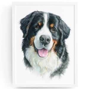 Watercolor Bernese Mountain Dog Portrait Print – Unframed Wall Art Poster